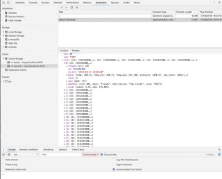 Once a request has been made to the API, check in DevTools again and you should see the two caches, with the cached API response and index route in the dynamic cache