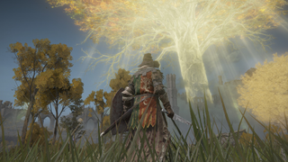 Elden Ring screenshot showing character looking out to the overworld