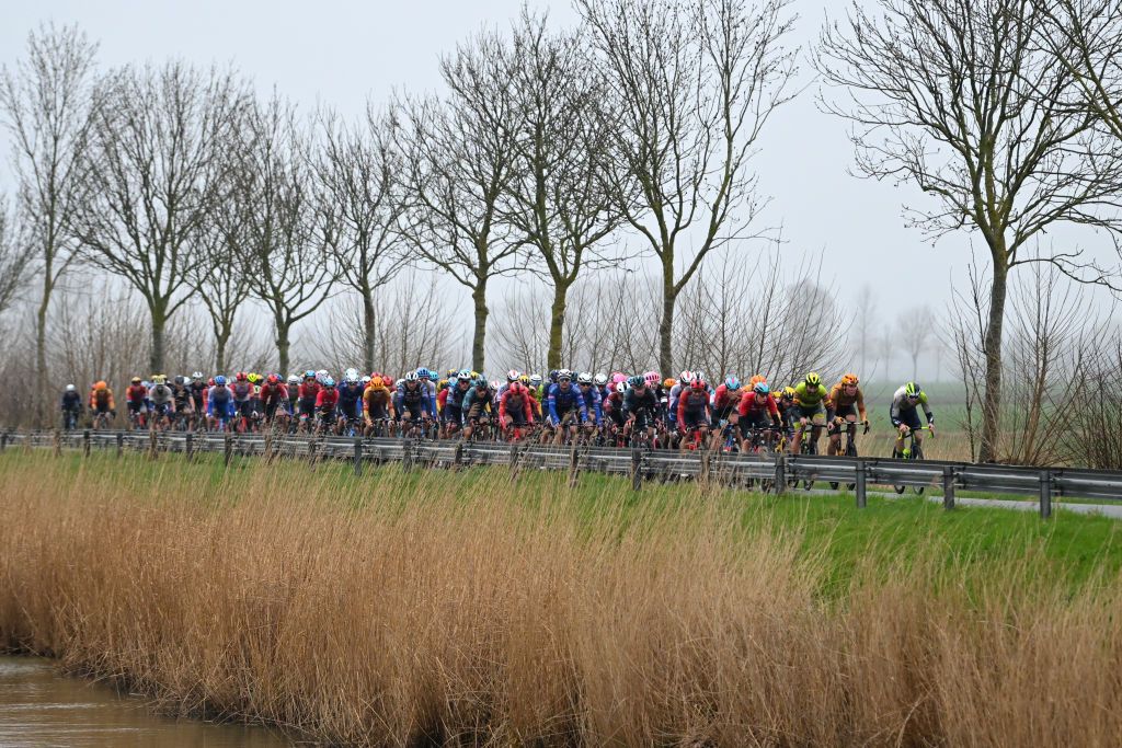 DE PANNE BELGIUM MARCH 22 A general view of the peloton competing during the 47th Minerva Classic Brugge De Panne 2023 a 211km one day race from Brugge to De Panne on March 22 2023 in De Panne Belgium Photo by Luc ClaessenGetty Images