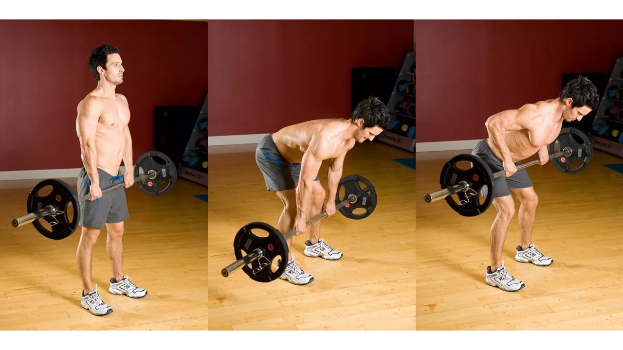 Three stages of the Romanian deadlift to row exercise