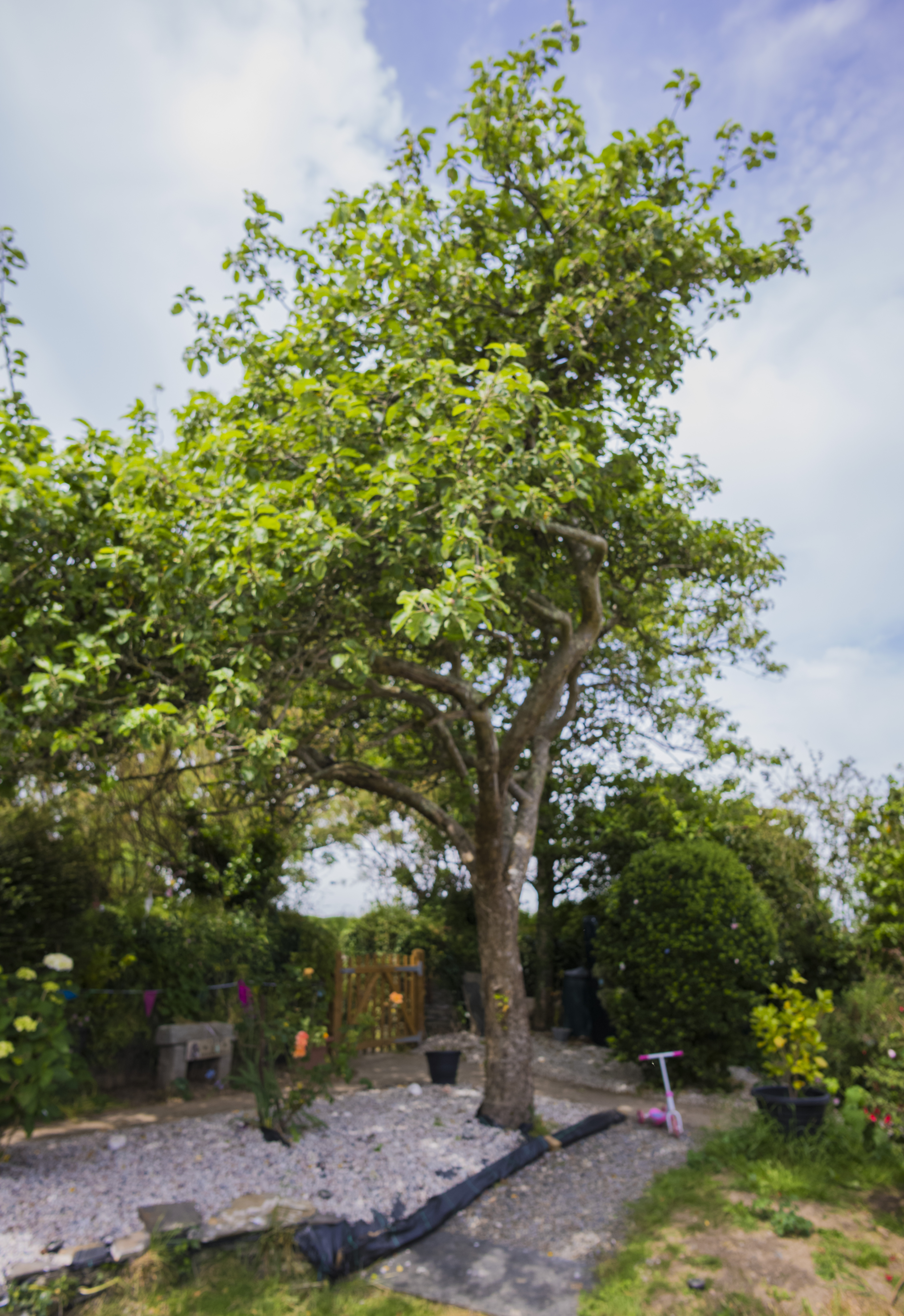 Leica 21mm Summilux-M f/1.4 ASPH image samples