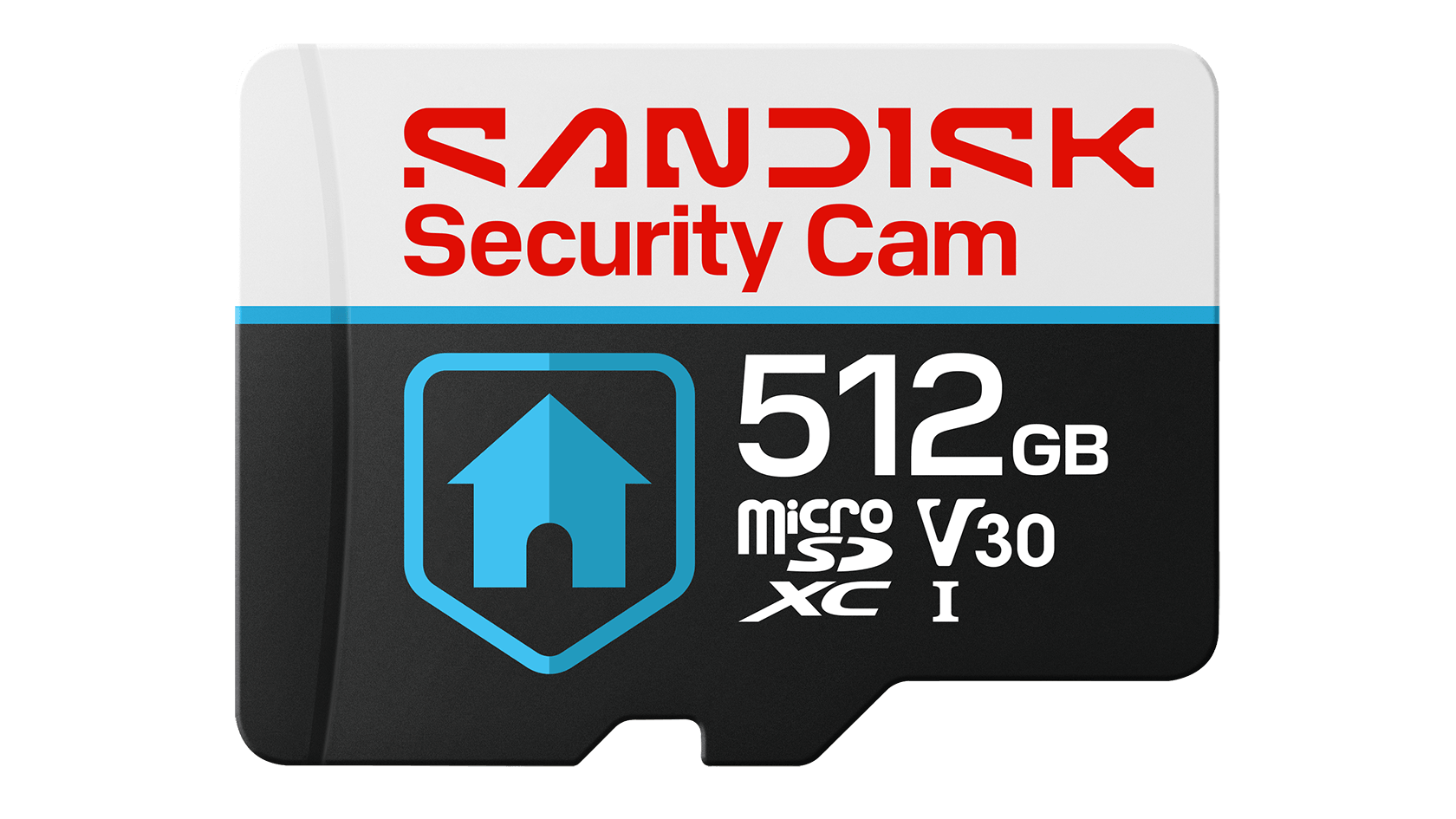 SanDisk Security Cam card