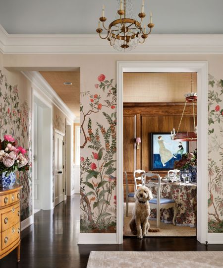 A white labradoodle stood in the doorway of a wood panelled dining room