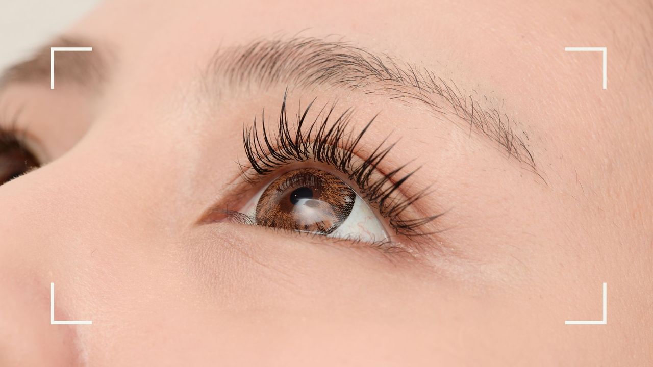 model with long lashes to illustrate lash perm vs lash lift