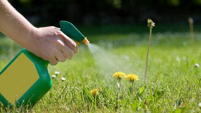someone using a bottle to spray weeds