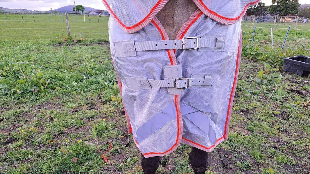 Swish Waterproof Fly Combination Turnout chest fastenings