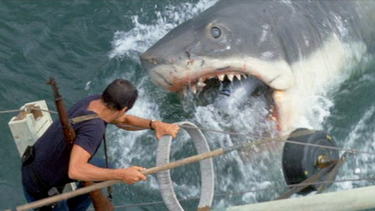 steven spielberg directing jaws