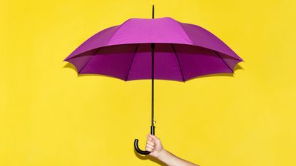 A purple umbrella against a yellow background.