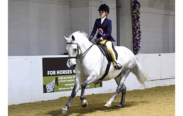 Heritage Show 14 10 2018