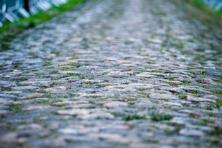 A close-up of the cobbles in the Forest of Arenberg