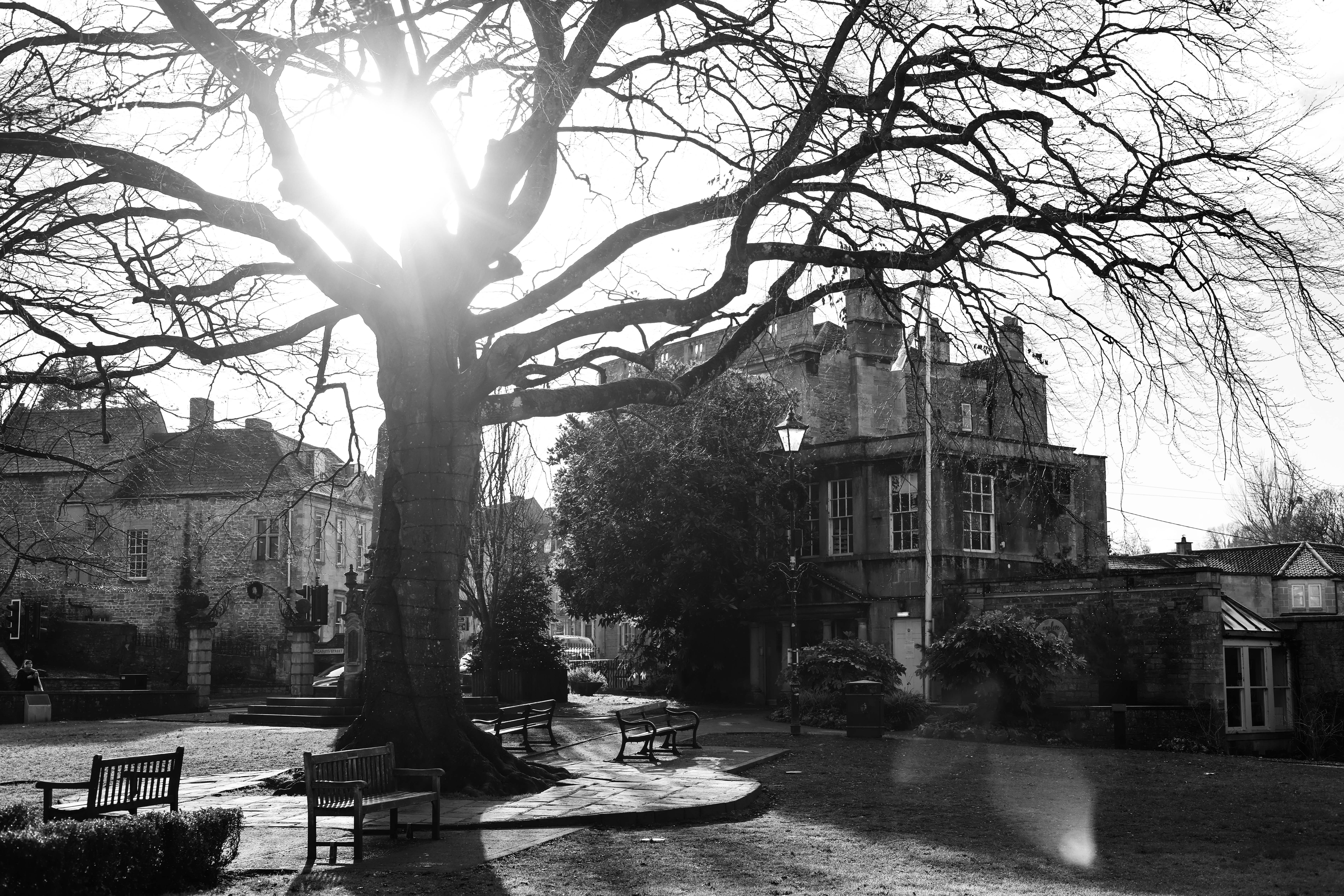 Sample image taken on the Canon EOS C50