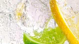 Close-up of gin and tonic with lime and lemon slices