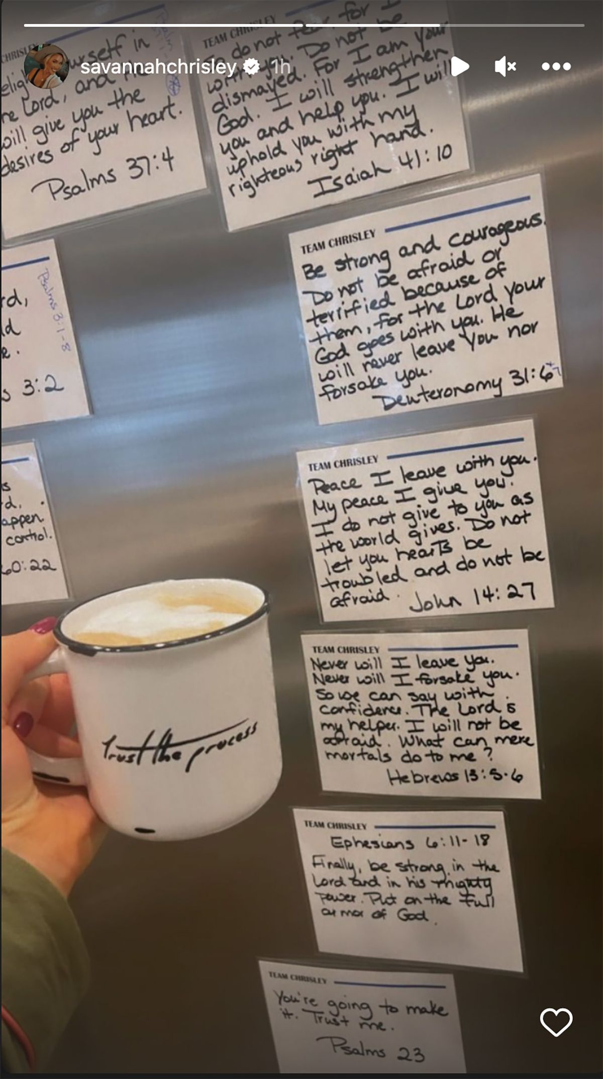 Exclusive Discover Why Savannah Chrisley’S Appeal Hearing Is Causing A Stir – The Full Story Unveiled – The Untold Secrets Revealed - 1r968up