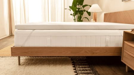 The Tempur-Pedic Tempur Adapt Mattress Topper on top of a bed in a warm, sunny bedroom