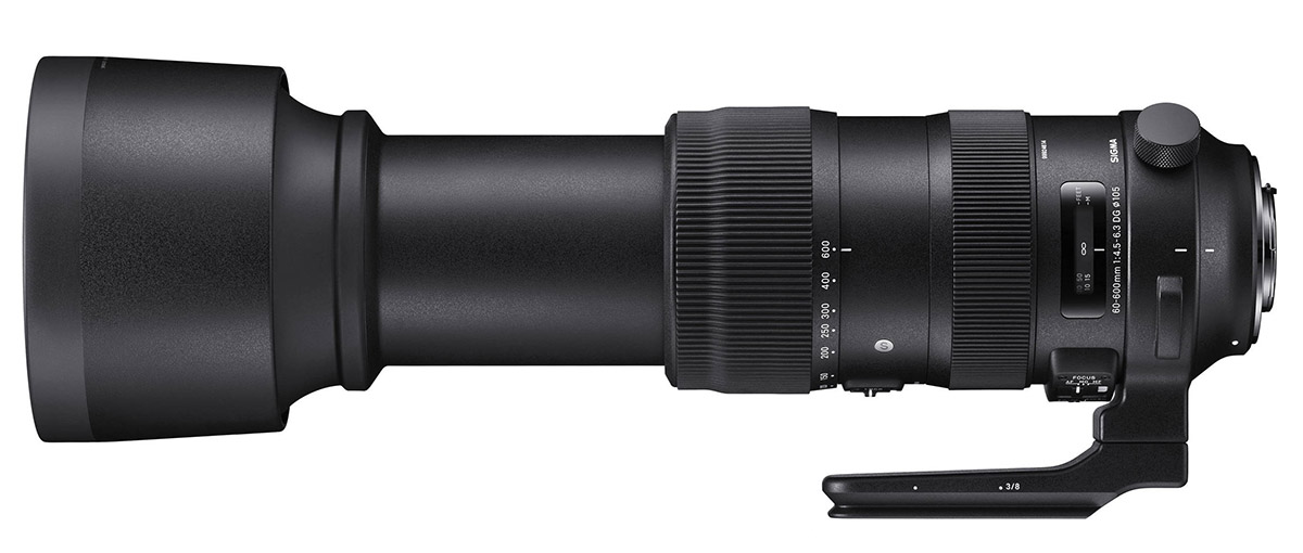 Sigma 60-600mm f/4.5-6.3 DG OS HSM Sport review | Digital Camera World