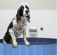 Dog Paddling Pool | was £39.99, now £25.49, save 36%, Amazon