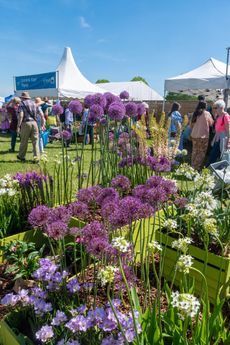 The RHS Malvern Spring Festival 2024, Malvern, Worcestershire,