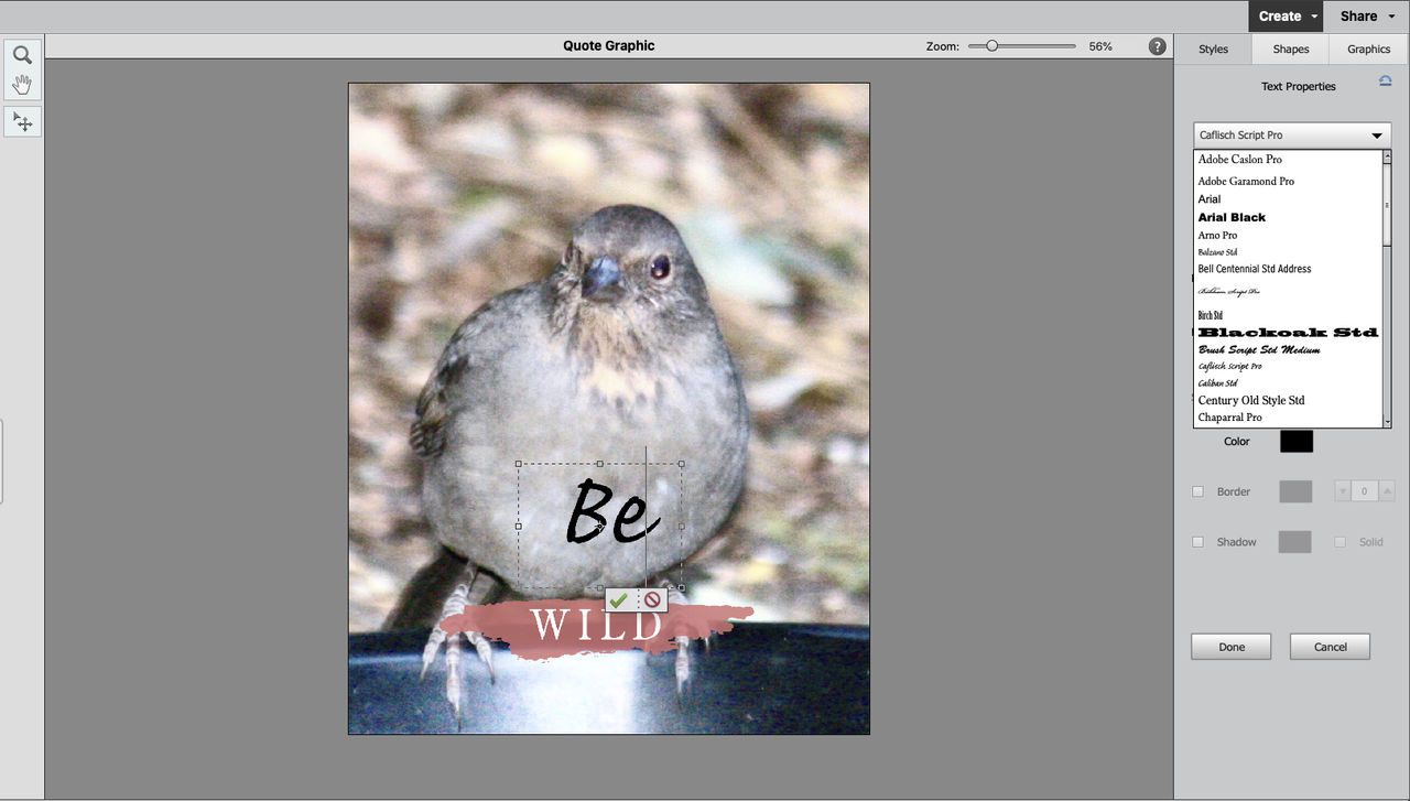 Adobe Photoshop Elements 2021 review