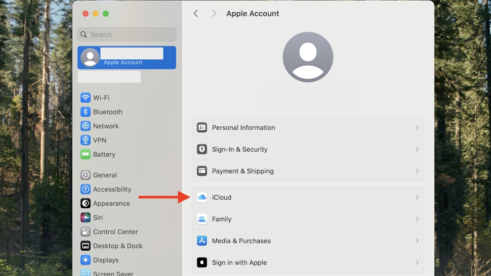 How to click on iCloud under Apple ID