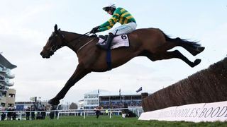 A horse and jockey jump over a fence during the Gold Cup race at Cheltenham Festival.