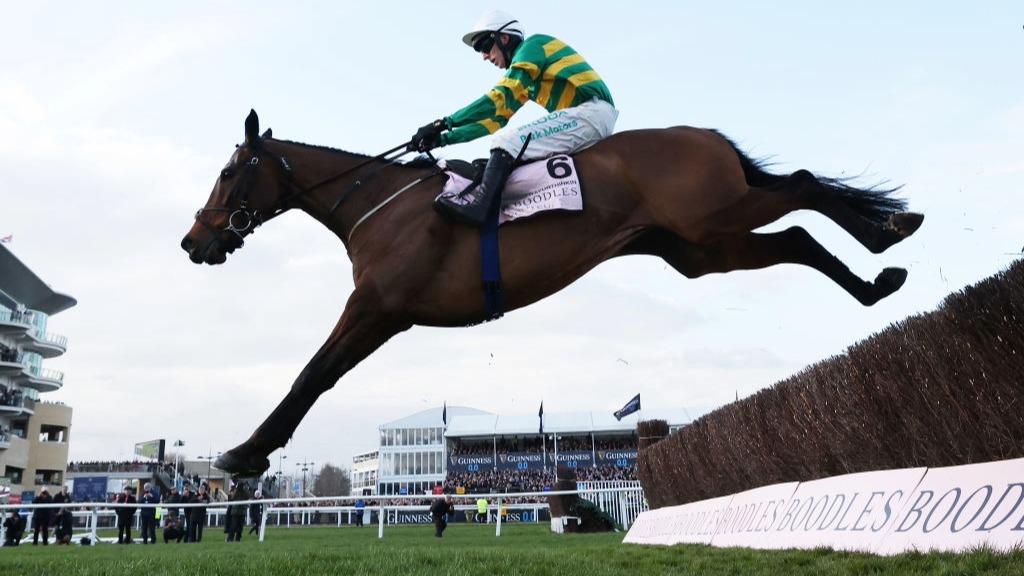 A horse and jockey jump over a fence during the Gold Cup race at Cheltenham Festival.