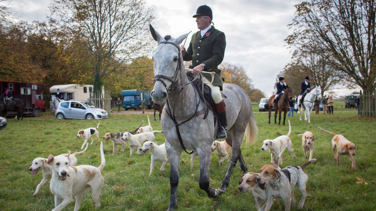 Fox-hunting