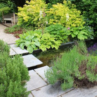 pond with stepping stone and grass with plants