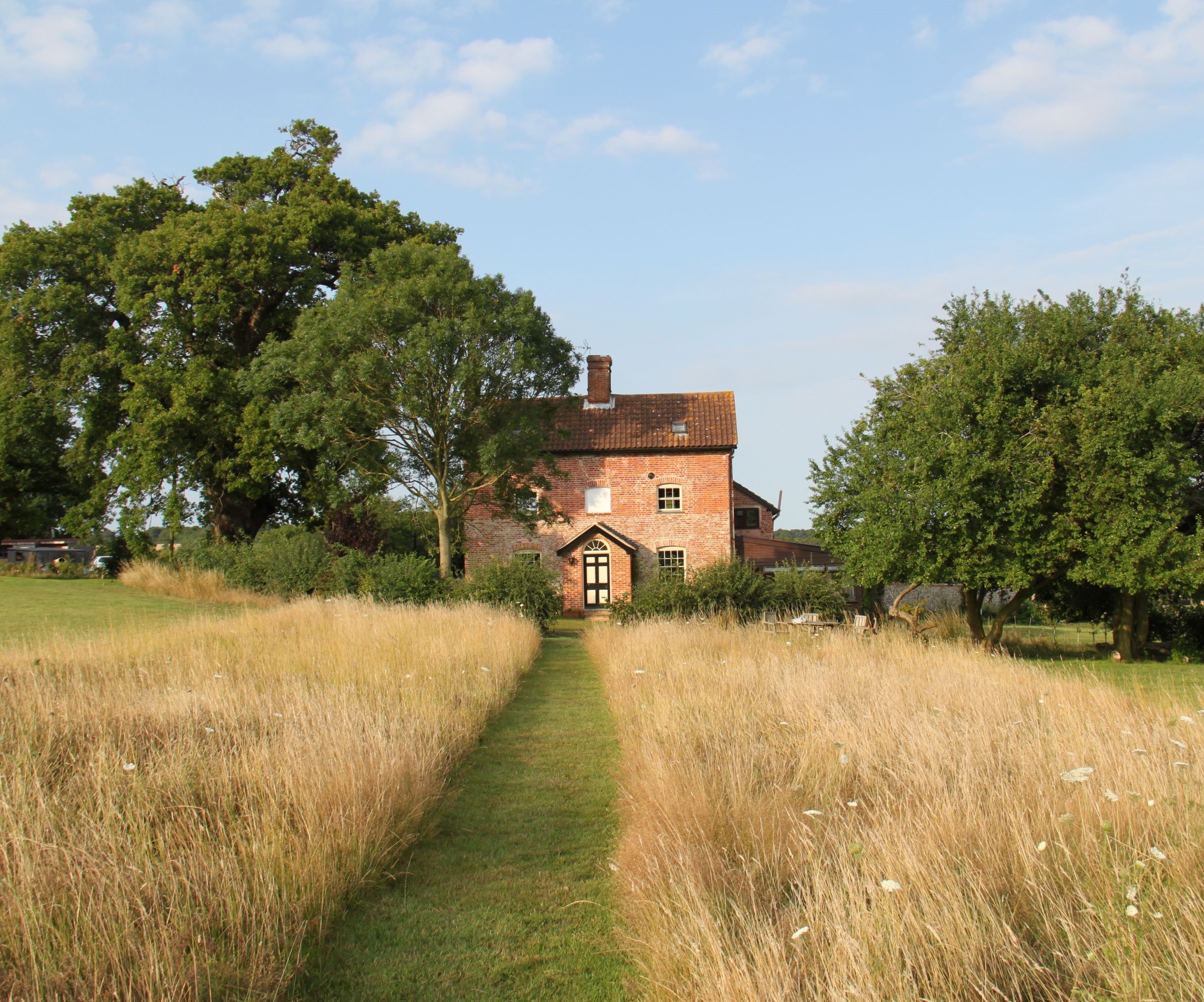 A red brick house with long grass in the front garden