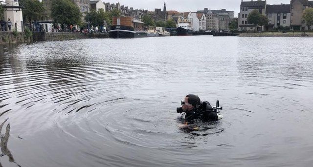 Scots Diver In Water