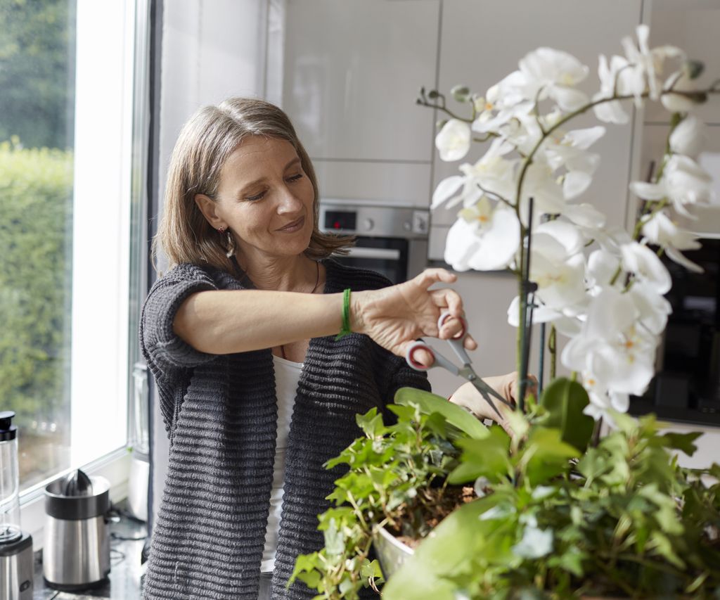 How to repot orchid aerial roots: in 5 easy steps | Homes & Gardens