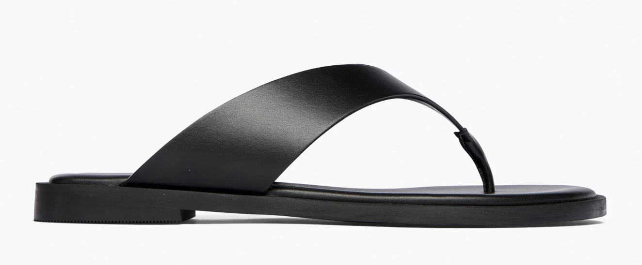 Freda Salvador, Halle Leather Thong Sandal