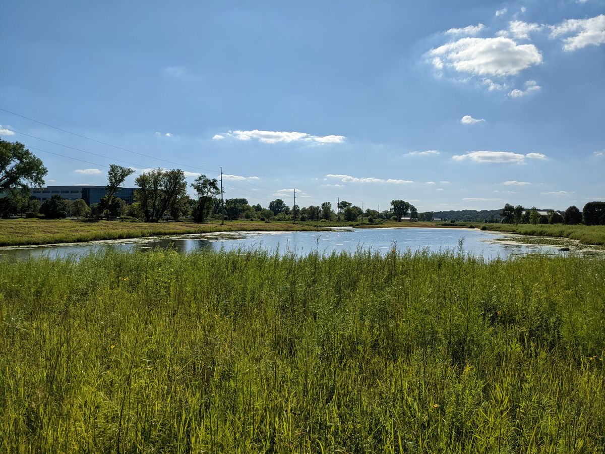 Pixel 5a camera samples