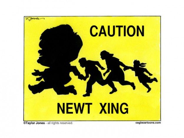 Newt&amp;#039;s run for the border