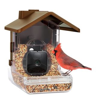 Wasserstein bird feeder camera case on a white background