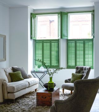 Green shutters in green living room