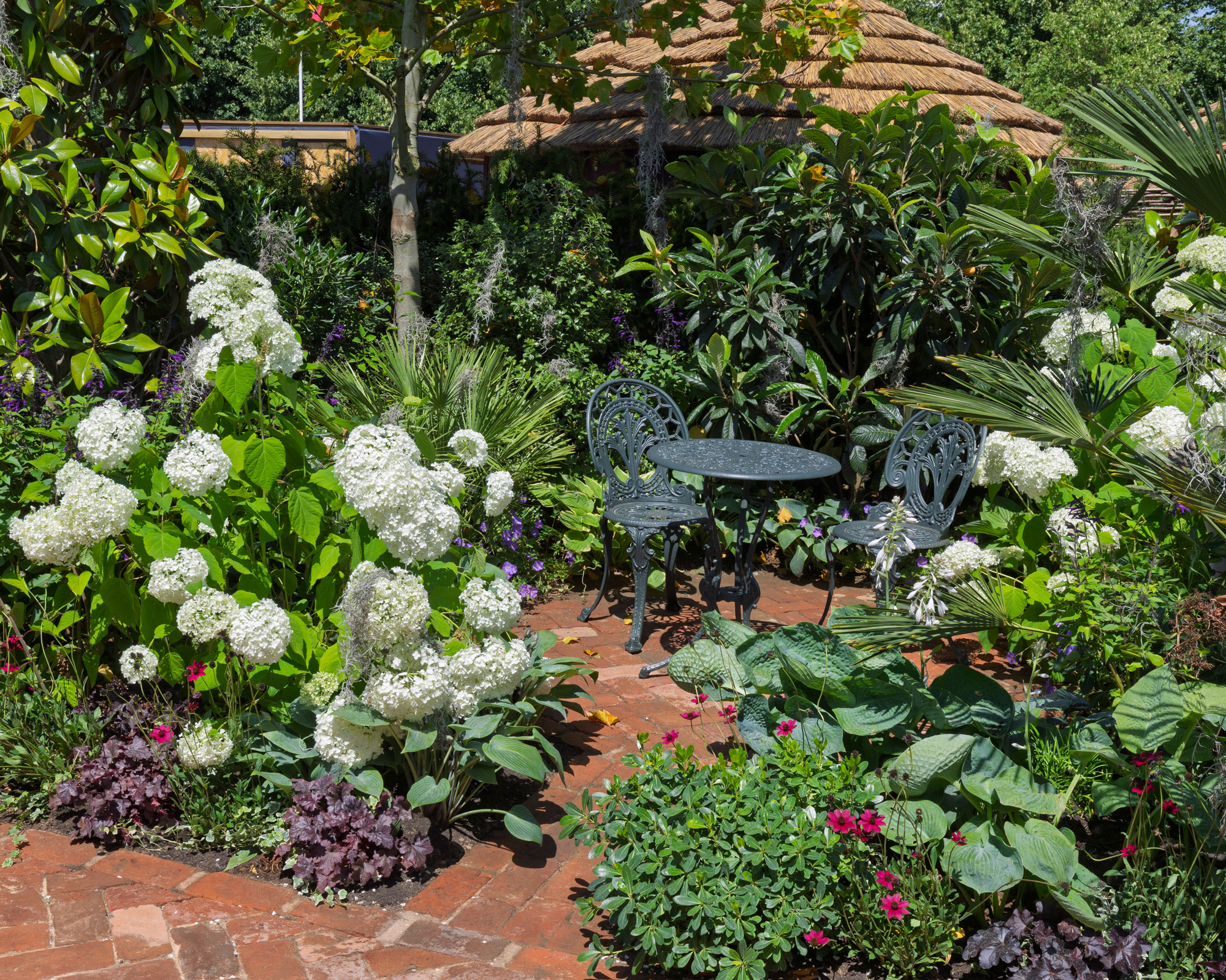 two large borders with white hydrangeas, hosta, salvia and heuchera, with garden table and chairs