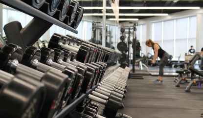 Rack of dumbbells woman in gym