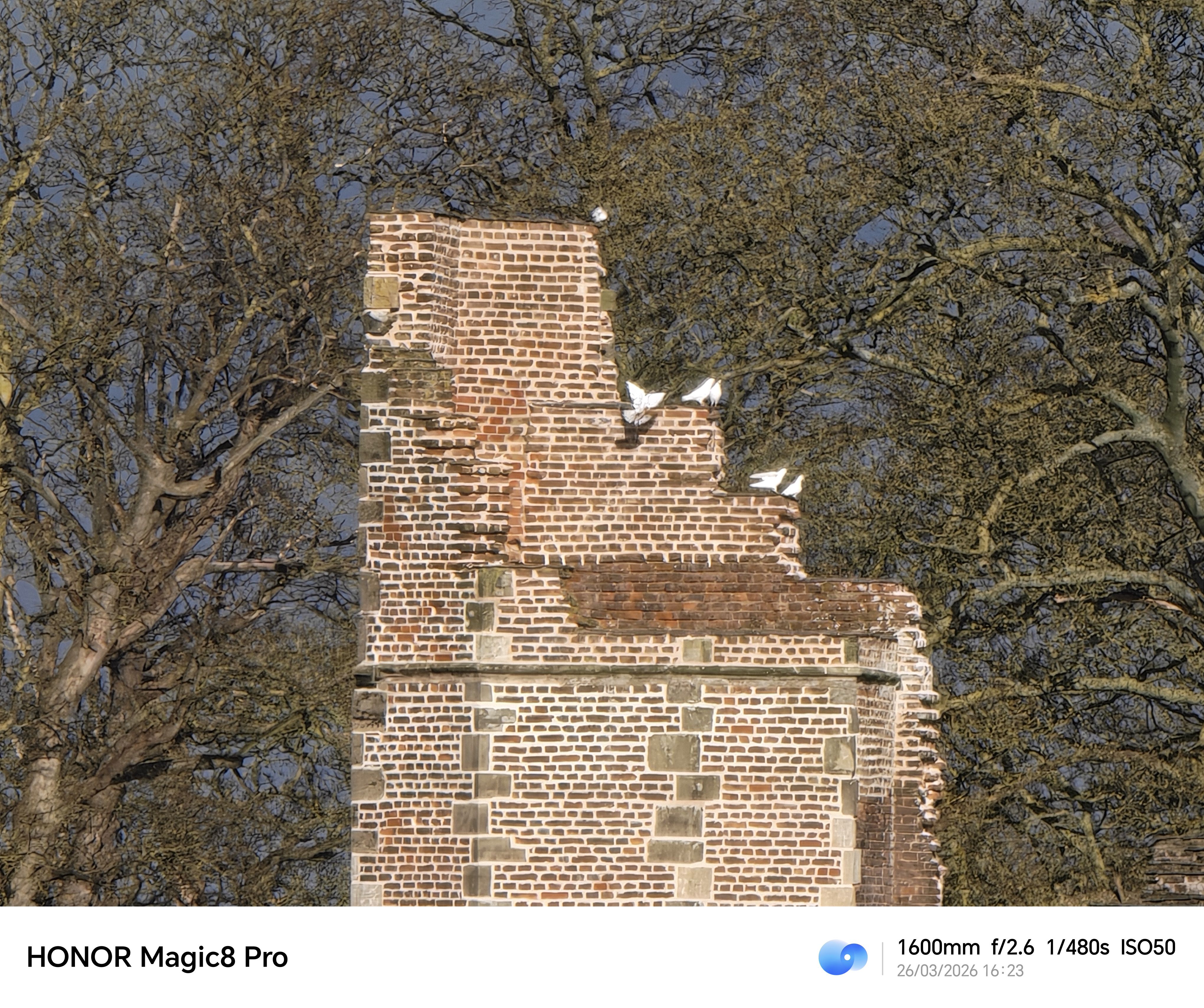 A brick wall with birds perched on top