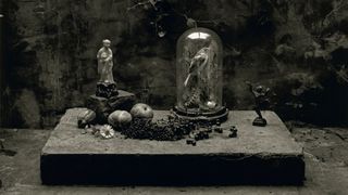 A somber black and white still life featuring a small statue, fruit, berries, and a bird inside a glass bell jar, all resting on a stone slab against a textured wall with ivy.