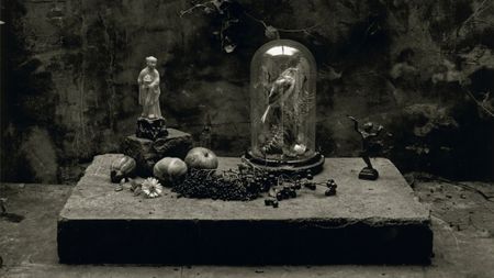 A somber black and white still life featuring a small statue, fruit, berries, and a bird inside a glass bell jar, all resting on a stone slab against a textured wall with ivy.