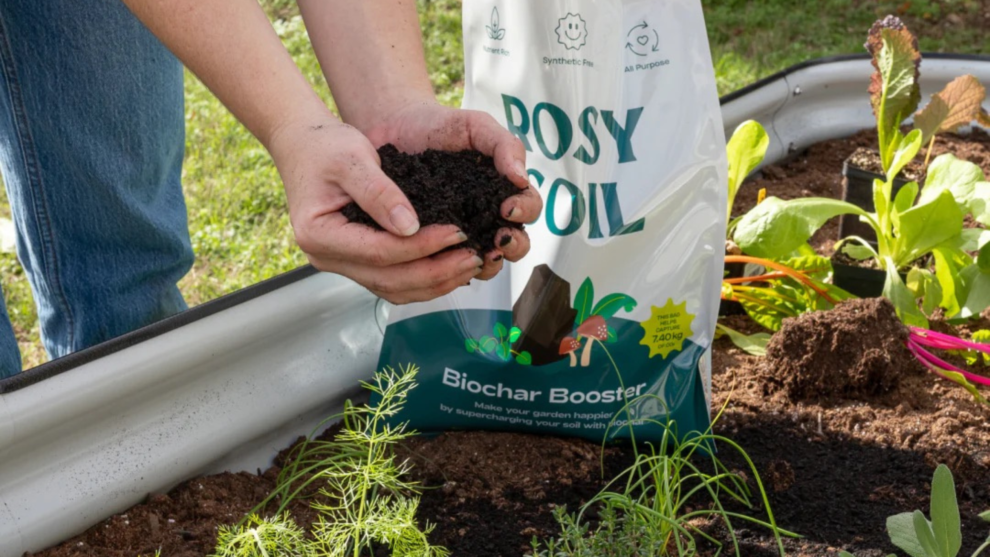 Rosy Soil biochar booster in a raised bed