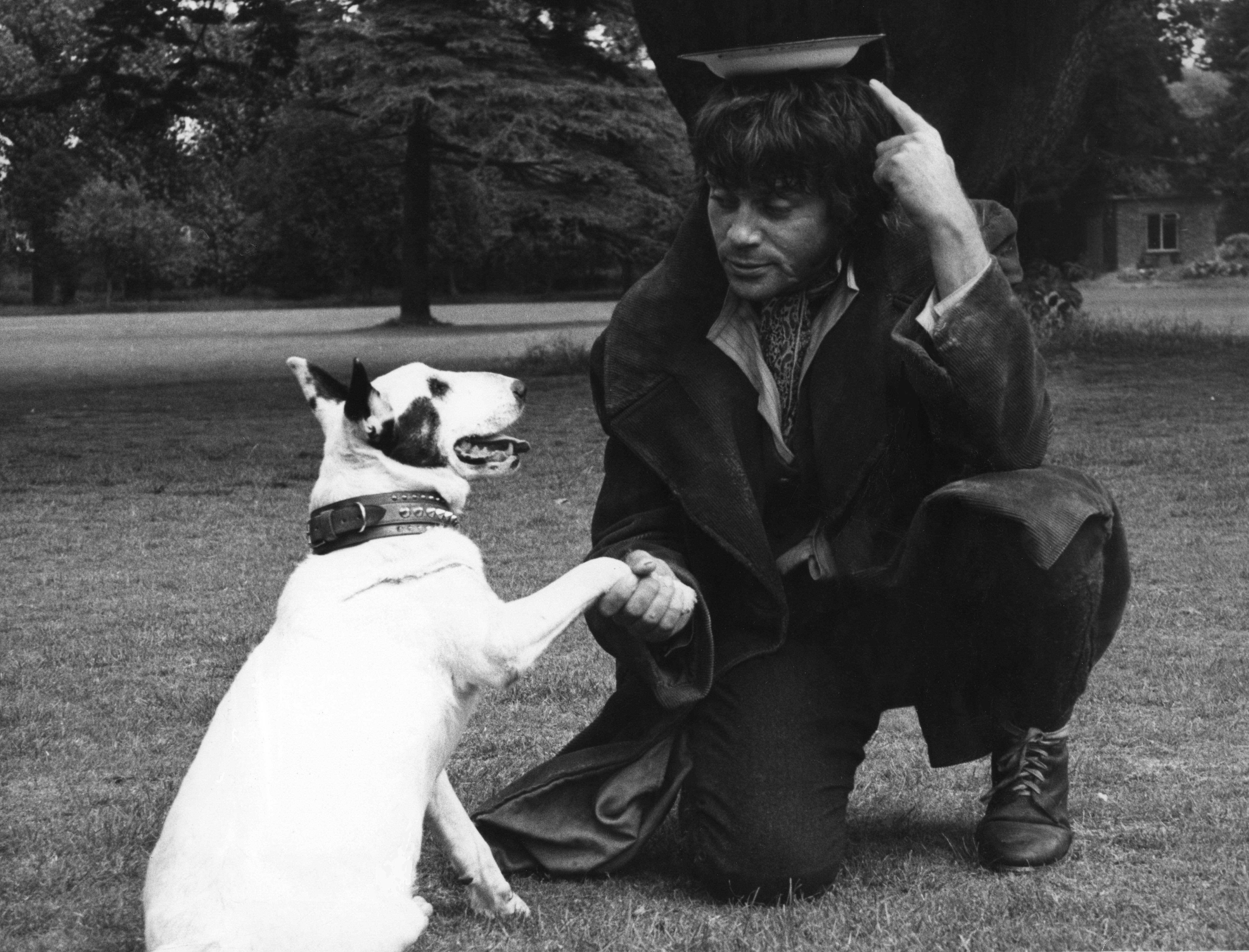 Candid Publicity photo of Oliver Reed in costume as Bill Sikes with a bull terrier named Butch who played Bull's-eye in OLIVER!