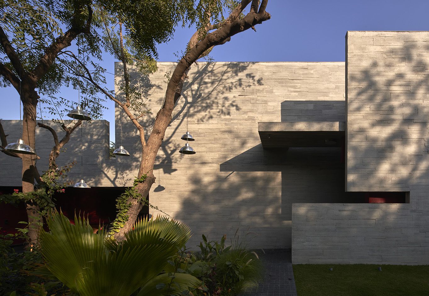 Tour Ahmedabad house Trees Sliced Through | Wallpaper