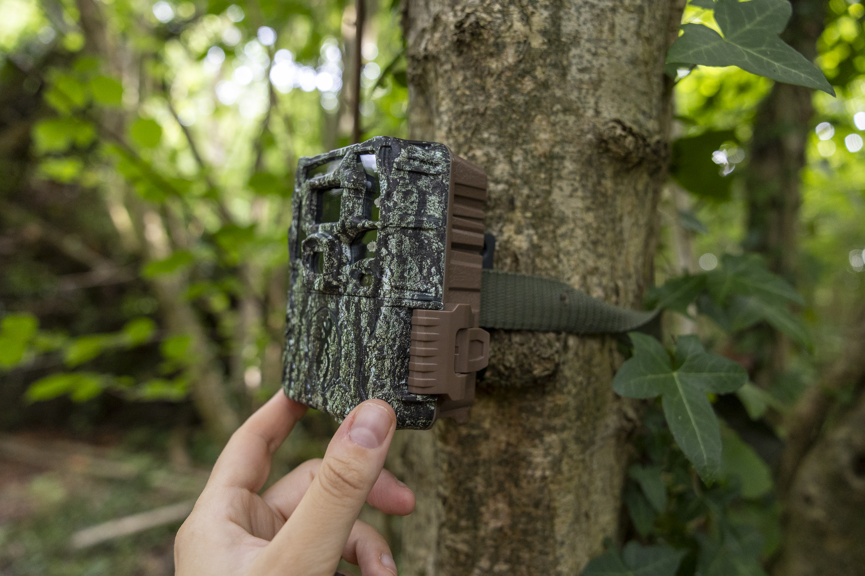 Browning Strike Force HD Pro X1080 review: a fantastic, no-frills trail camera for beginners