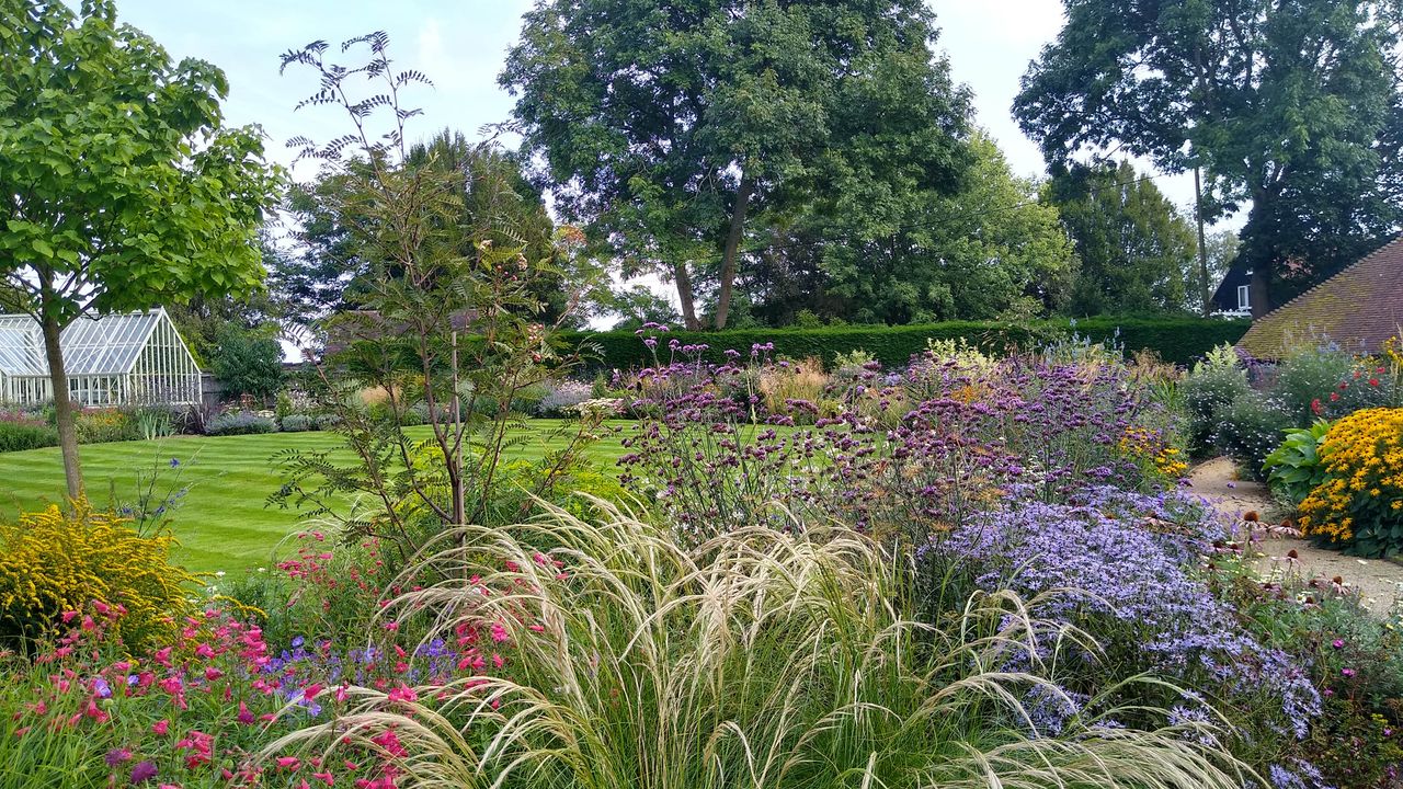 landscaping with flowers - a mixed border in a garden with long flowering plants