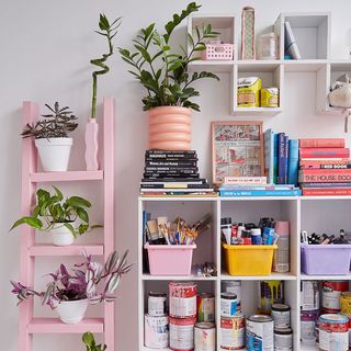 Shelves with painting supplies, books, and plants