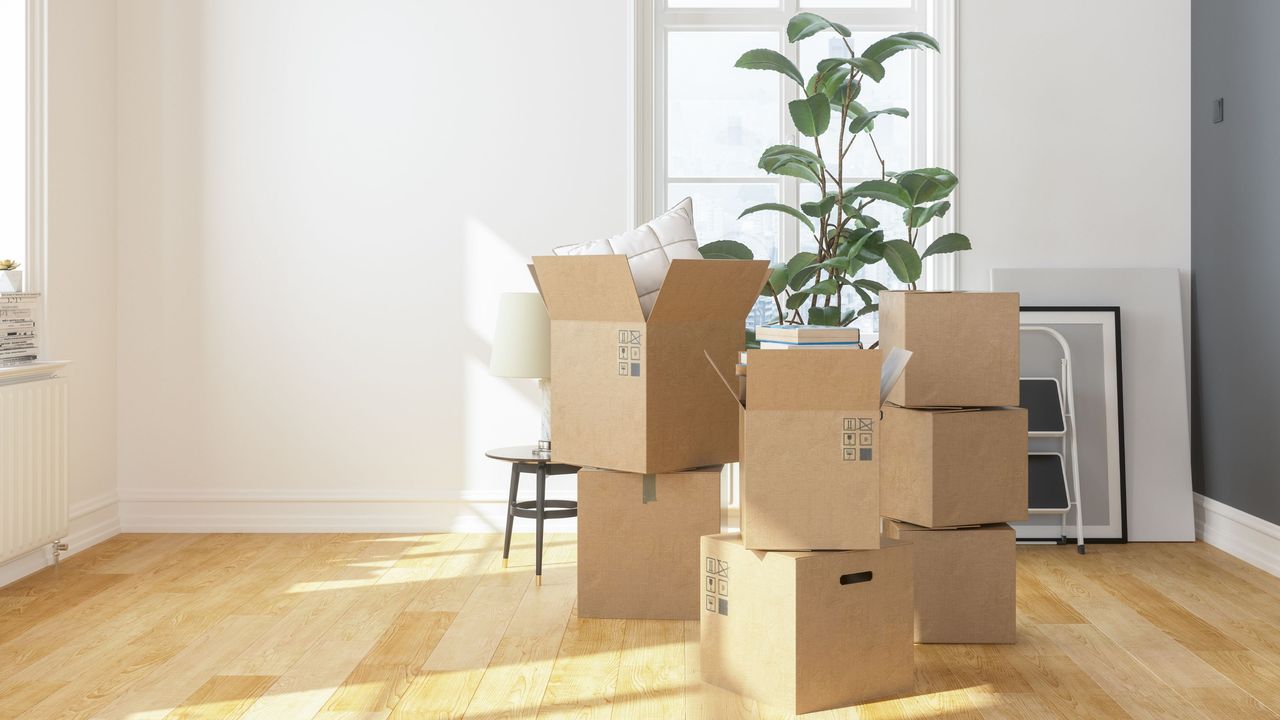 Cardboard boxes in empty apartment