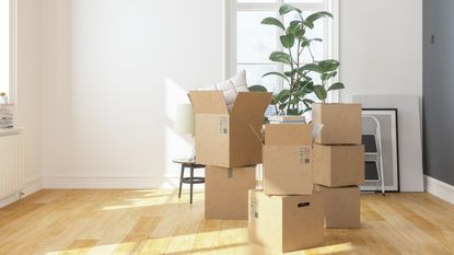 Cardboard boxes in empty apartment