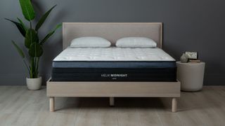 The Helix Midnight Luxe mattress, the Best luxury mattress for side sleepers, shown here on a beige bedframe next to a tall green house plant