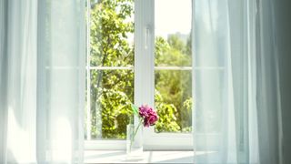 Window sill with light voile curtain and small vase of flowers